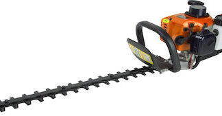 Ψαλίδια Μπορντούρας