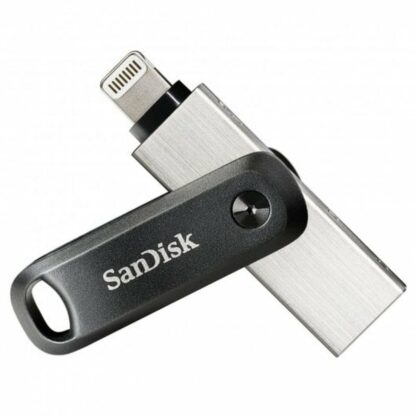 Στικάκι USB SanDisk SDIX60N-256G-GN6NE Γκρι 256 GB