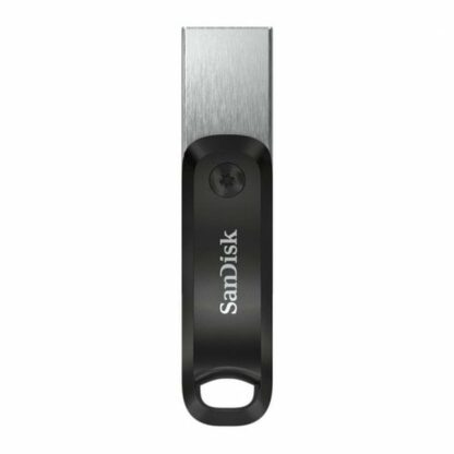 Στικάκι USB SanDisk SDIX60N-256G-GN6NE Γκρι 256 GB