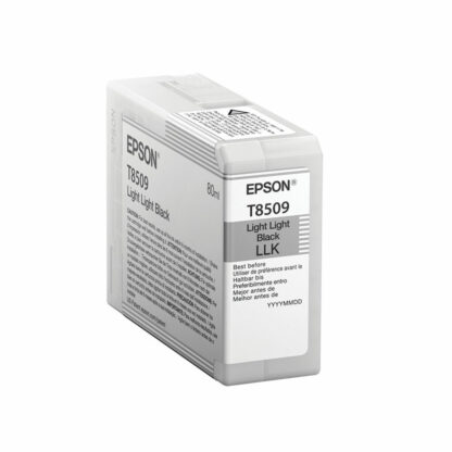 Αυθεντικό Φυσίγγιο μελάνης Epson C13T850900 Μαύρο