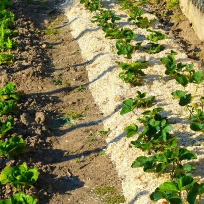 Οργανικό λίπασμα Naturen UAB Κάνναβης 100 L