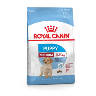 Φαγητό για ζώα Royal Canin Maxi Adult 15 kg Ενηλίκων