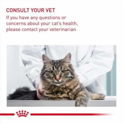 Γατοτροφή Royal Canin Ενηλίκων Κοτόπουλο Καλαμπόκι Λαχανικό Πουλιά 10 kg