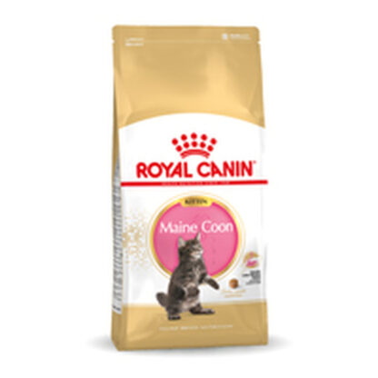 Γατοτροφή Royal Canin Maine Coon Kitten 10 kg