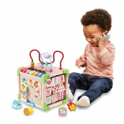 Κέντρο δραστηριοτήτων Vtech Baby 80-617105 Καφέ Πολύχρωμο