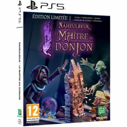 Βιντεοπαιχνίδι PlayStation 5 Microids Naheulbeuk : Le Maitre Du Donjon