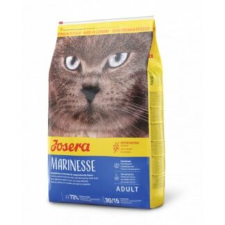 Γατοτροφή Royal Canin British Shorthair Adult Ενηλίκων 10 kg