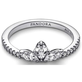 Γυναικεία Δαχτυλίδια Pandora 190872-54 14