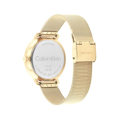 Ανδρικά Ρολόγια Calvin Klein 25200403 Χρυσό