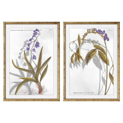 Πίνακας DKD Home Decor 50 x 2 x 70 cm Σύγχρονη Βοτανικά φυτά (x2)