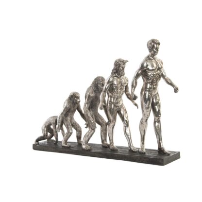 Διακοσμητική Φιγούρα DKD Home Decor Origin of Species Ασημί Chrome 55 x 18 x 42 cm