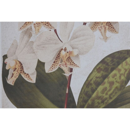 Πίνακας Home ESPRIT Τροπικό Ορχιδέα 50 x 2,5 x 70 cm (x2)