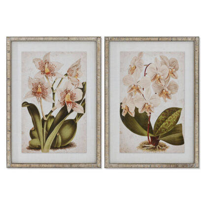 Πίνακας Home ESPRIT Τροπικό Ορχιδέα 50 x 2,5 x 70 cm (x2)