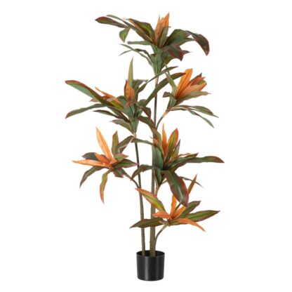 Διακοσμητικό Φυτό Dracaena Καφέ Πράσινο PVC 140 cm