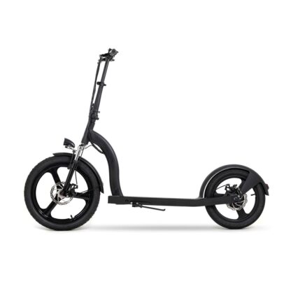 Ηλεκτρικό Σκούτερ Youin YOUIN SCOOTER ELECTRIC 2XL Μαύρο 350 W