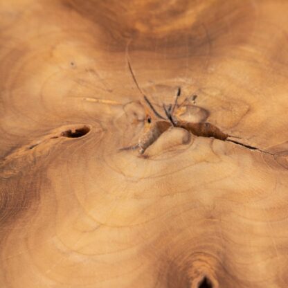 Βοηθητικό Τραπέζι Φυσικό Μαύρο ξύλο teak 50 x 50 x 40 cm