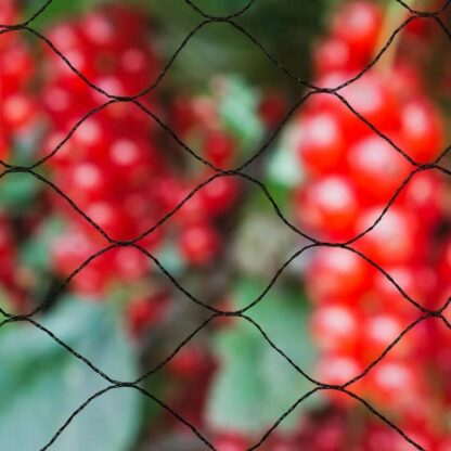 Anti-bird netting Nature Primo Μαύρο πολυαιθυλένιο 10 x 10 m