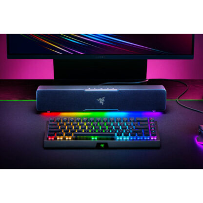 Ηχείο Bluetooth Razer Leviathan V2 X Μαύρο