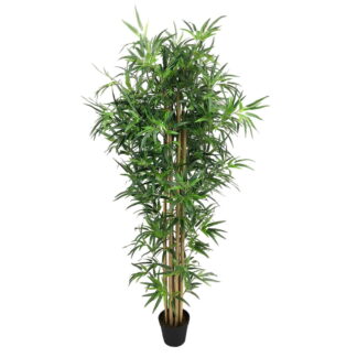 Διακοσμητικό Φυτό Τσιμέντο Ύφασμα Bamboo 150 cm