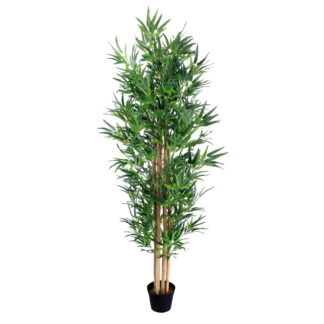 Διακοσμητικό Φυτό Τσιμέντο Ύφασμα Bamboo 180 cm