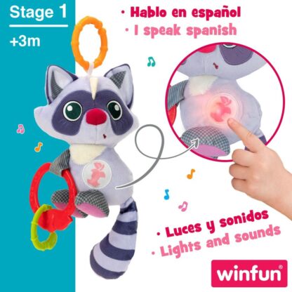 Βελούδινο Παιχνίδι Κουδουνίστρα Winfun Ρακούν 14,5 x 20 x 9,5 cm (x6)