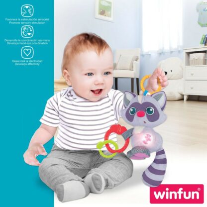 Βελούδινο Παιχνίδι Κουδουνίστρα Winfun Ρακούν 14,5 x 20 x 9,5 cm (x6)