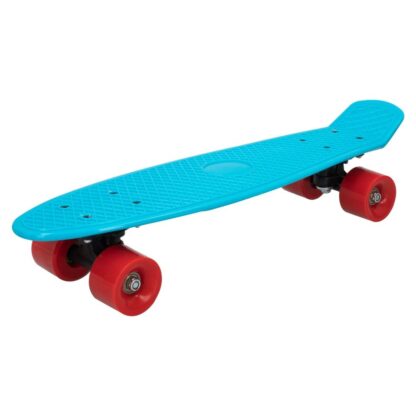 Skateboard Colorbaby (x6)