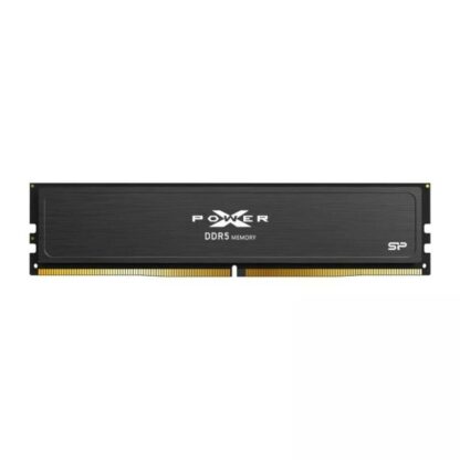 Μνήμη RAM Silicon Power SP064GXLWU560FDJ