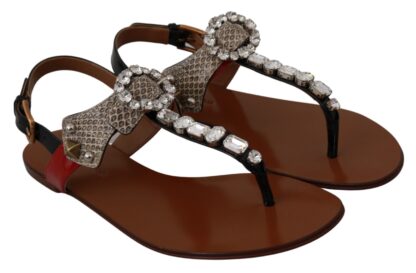 Dolce & Gabbana - Elegant Strappy Sandals with Exotic Charm