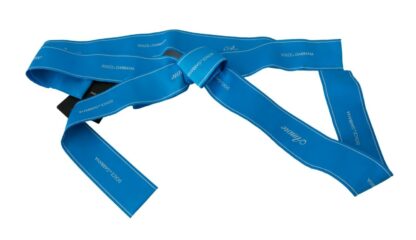 Dolce & Gabbana - Elegant Bow Snap Blue Waist Belt