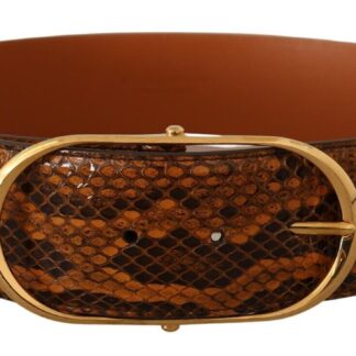 Dolce & Gabbana - Elegant Python Leather Belt with Gold Buckle