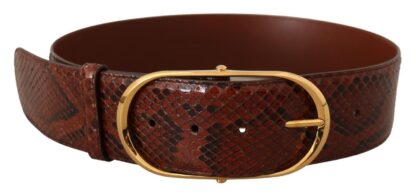 Dolce & Gabbana - Elegant Python Snake Skin Leather Belt