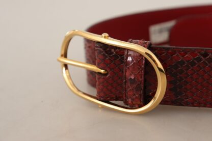 Dolce & Gabbana - Elegant Red Snakeskin Leather Belt