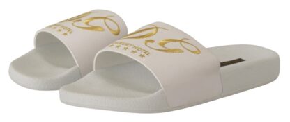 Dolce & Gabbana - Chic White Leather Slides with Gold Embroidery