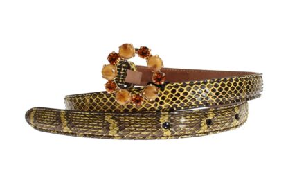 Dolce & Gabbana - Exquisite Water Snake Leather Belt in Gray