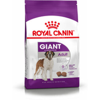 Φαγητό για ζώα Royal Canin Labrador Retriever Junior Κουτάβι / Junior Κοτόπουλο ρύζι Καλαμπόκι Πουλιά 12 kg