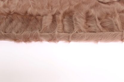 Dolce & Gabbana - Beige Suede Xiangao Fur Elbow Gloves