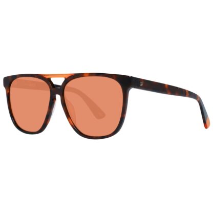 Web - Brown Unisex Sunglasses