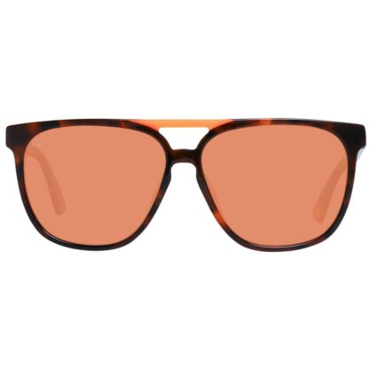 Web - Brown Unisex Sunglasses