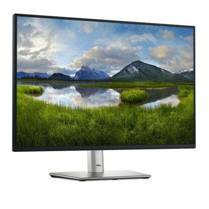 Οθόνη Dell P2425E  WUXGA 24,1" 100 Hz