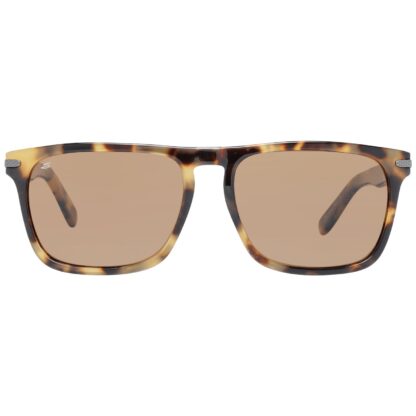 Serengeti - Brown Men Sunglasses