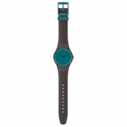 Γυναικεία Ρολόγια Swatch SO29C100