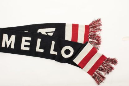 Fred Mello - Multicolor Fringe Logo Scarf in Wool Blend