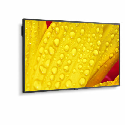 Οθόνη NEC 60005048 43" 4K Ultra HD LED 43" IPS 50-60  Hz