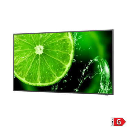 Οθόνη NEC 60005052 49" IPS LED