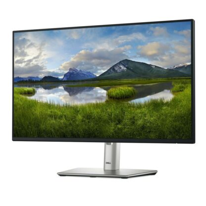 Οθόνη Dell P2425H Full HD 24" 100 Hz