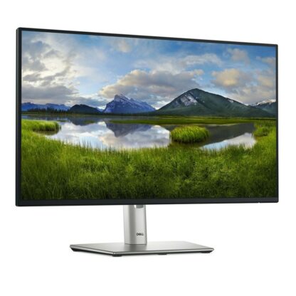 Οθόνη Dell P2425H Full HD 24" 100 Hz