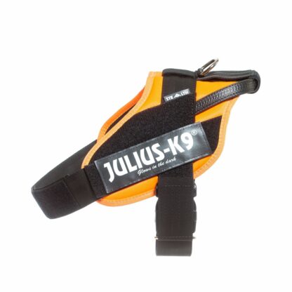 Λουρί Σκύλου Julius K9 IDC Πορτοκαλί L/XL 2 71-96 cm