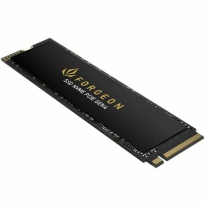 Σκληρός δίσκος Forgeon 2 TB SSD