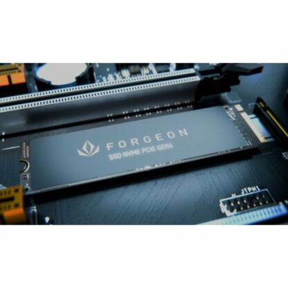 Σκληρός δίσκος Forgeon 2 TB SSD